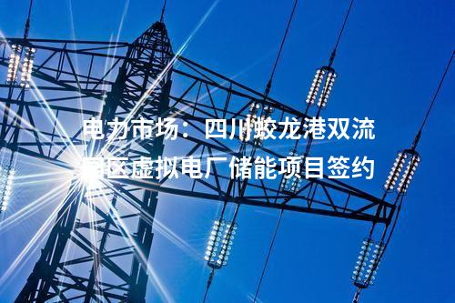 數(shù)智化：國內(nèi)首個(gè)村級(jí)自治微電網(wǎng)示范工程正式建成投運(yùn)