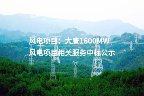 電池項(xiàng)目：年產(chǎn)10GWh超級(jí)快充動(dòng)力電池項(xiàng)目中標(biāo)