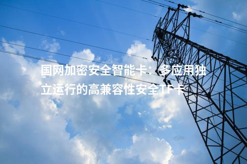 國網(wǎng)加密安全智能卡：多應(yīng)用獨立運行的高兼容性安全TF卡