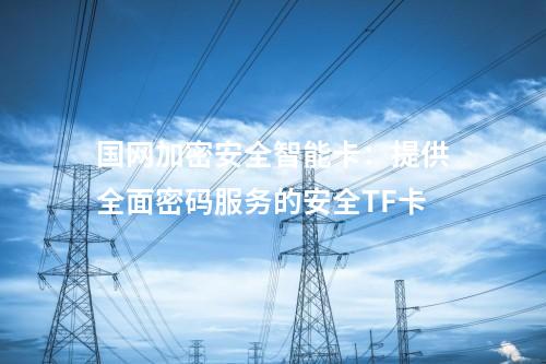 國網(wǎng)加密安全智能卡：提供全面密碼服務(wù)的安全TF卡