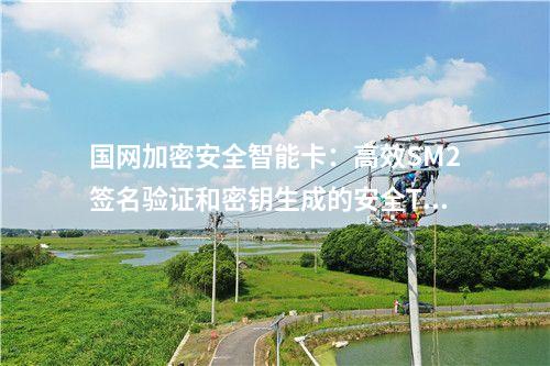 國(guó)網(wǎng)加密安全智能卡：支持SM1、SM2、SM3算法的高安全性TF卡