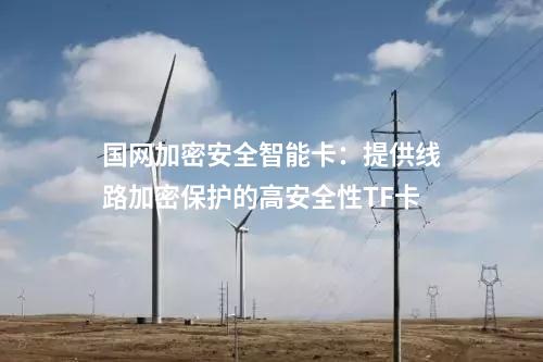 國網(wǎng)加密安全智能卡：支持多種密碼算法的高兼容性安全TF卡