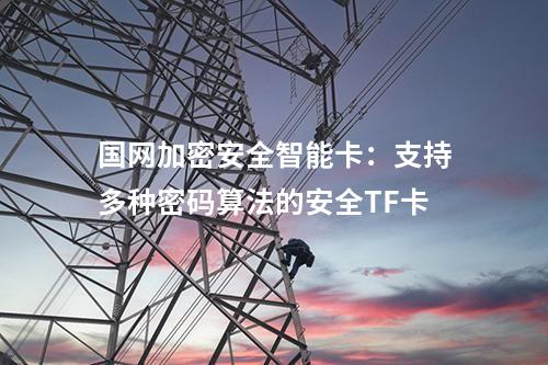 國(guó)網(wǎng)加密安全智能卡：支持多種密碼算法的安全TF卡