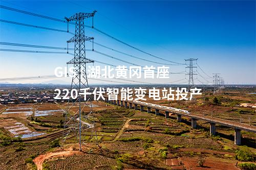 水電項目 | 國家電投羊曲水電站最后一臺機組轉(zhuǎn)子完成吊裝