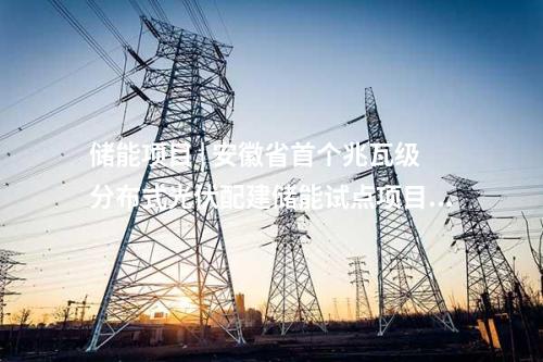 儲(chǔ)能技術(shù) | 國(guó)家電投集團(tuán)科學(xué)技術(shù)研究院兆瓦級(jí)儲(chǔ)諾熱泵儲(chǔ)能中試項(xiàng)目回?zé)崞魍瓿傻跹b