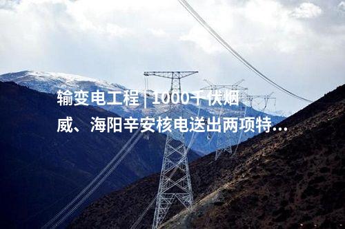 輸變電工程 | 1000千伏煙威、海陽辛安核電送出兩項(xiàng)特高壓工程獲得核準(zhǔn)