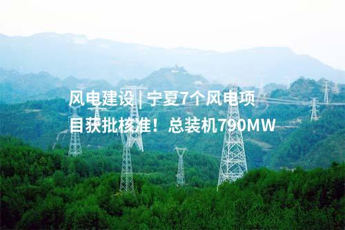 垃圾發(fā)電項(xiàng)目 | 福建德化縣生活垃圾焚燒發(fā)電項(xiàng)目鍋爐低溫烘爐順利點(diǎn)火