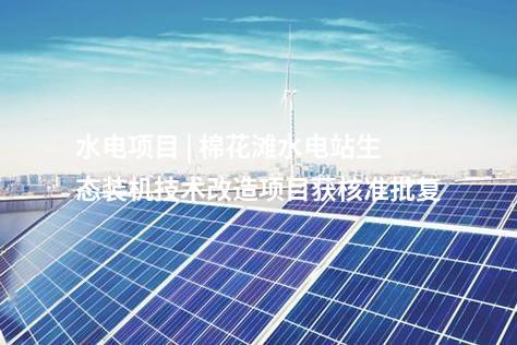 異質(zhì)結(jié)組件 | 5GW高效異質(zhì)結(jié)組件首件下線！