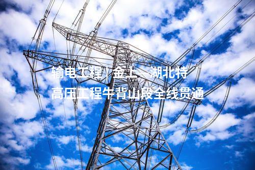配電自動(dòng)化 | 云南曲靖供電首個(gè)透明主動(dòng)配網(wǎng)示范臺(tái)區(qū)投運(yùn)