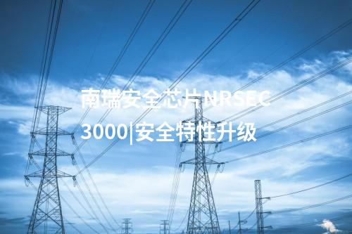 <a href=http://bcculture.com.cn/info/23.html target=_blank class=infotextkey>南瑞安全芯片NRSEC3000</a>|安全特性升級