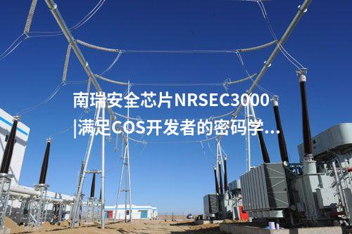 <a href=http://bcculture.com.cn/info/23.html target=_blank class=infotextkey>南瑞安全芯片NRSEC3000</a>|代碼保護(hù)全方位