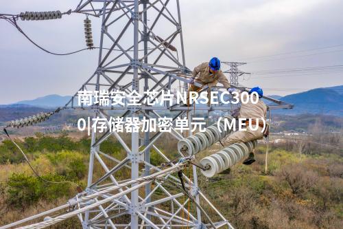 <a href=http://bcculture.com.cn/info/23.html target=_blank class=infotextkey>南瑞安全芯片NRSEC3000</a>|存儲器加密單元（MEU）