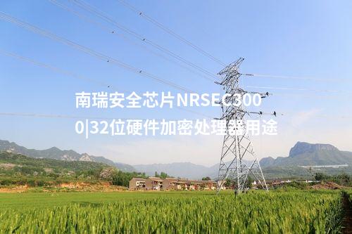 <a href=http://bcculture.com.cn/info/23.html target=_blank class=infotextkey>南瑞安全芯片NRSEC3000</a>|RSA公鑰算法引擎