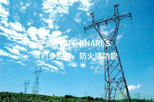 安全智能TF卡NARI-STF|多應用、防火墻功能