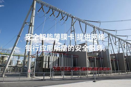 安全智能薄膜卡|提供網(wǎng)絡(luò)銀行應(yīng)用所需的安全服務(wù)。