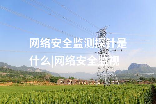 網(wǎng)絡(luò)安全監(jiān)測探針是什么|網(wǎng)絡(luò)安全監(jiān)視