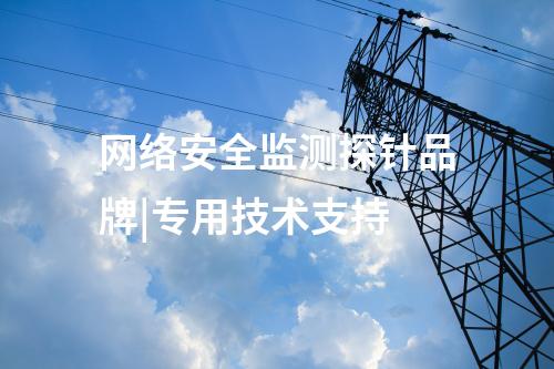 網(wǎng)絡安全監(jiān)測探針品牌|專用技術支持