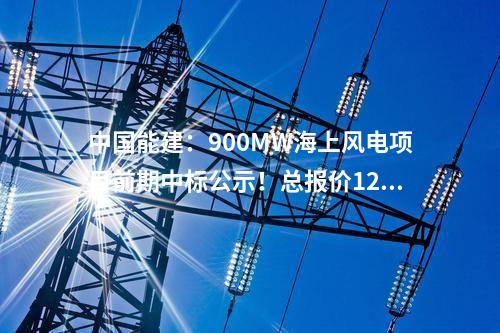 中國能建：900MW海上風電項目前期中標公示！總報價12325萬元！