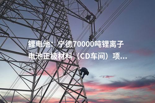 鋰電池：寧德70000噸鋰離子電池正極材料（CD車間）項(xiàng)目完成封頂儀式