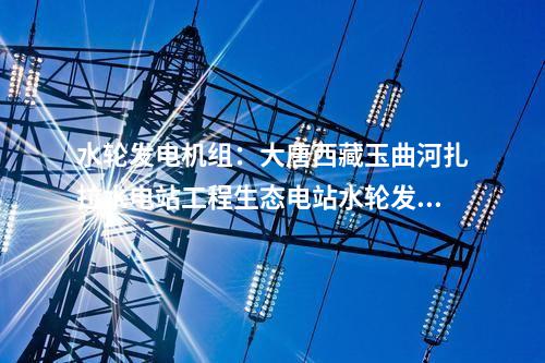水輪發(fā)電機組：大唐西藏玉曲河扎拉水電站工程生態(tài)電站水輪發(fā)電機組及其附屬設備中標公示